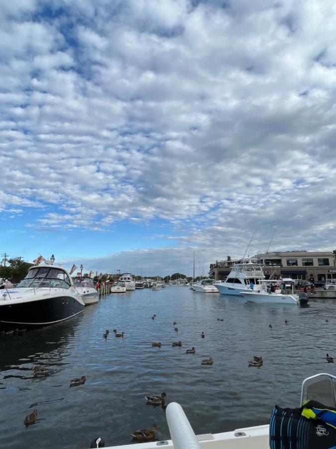 Gaia House Villa Annapolis Dış mekan fotoğraf